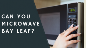 Can You Microwave Bay Leaf