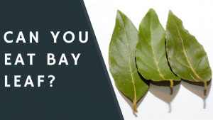 Can you eat bay leaf?