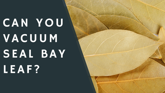Can You Vacuum Seal Bay Leaf?