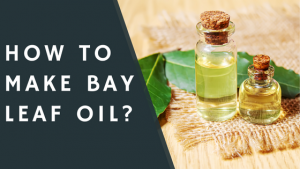 How to make bay leaf oil? 