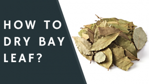 How to dry bay leaf