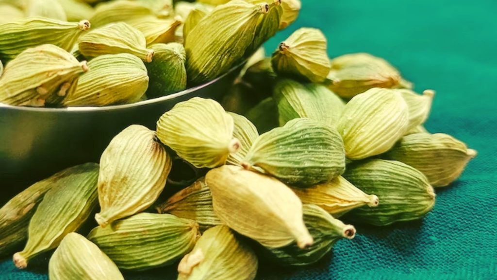 What Is Cardamom?