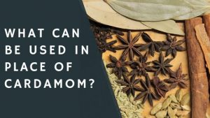 What can be used in place of cardamom