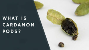 what is cardamom pods