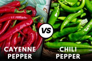 Cayenne Pepper Vs Chili Pepper