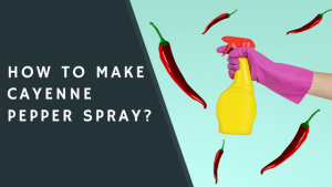 How to Make Cayenne Pepper Spray?