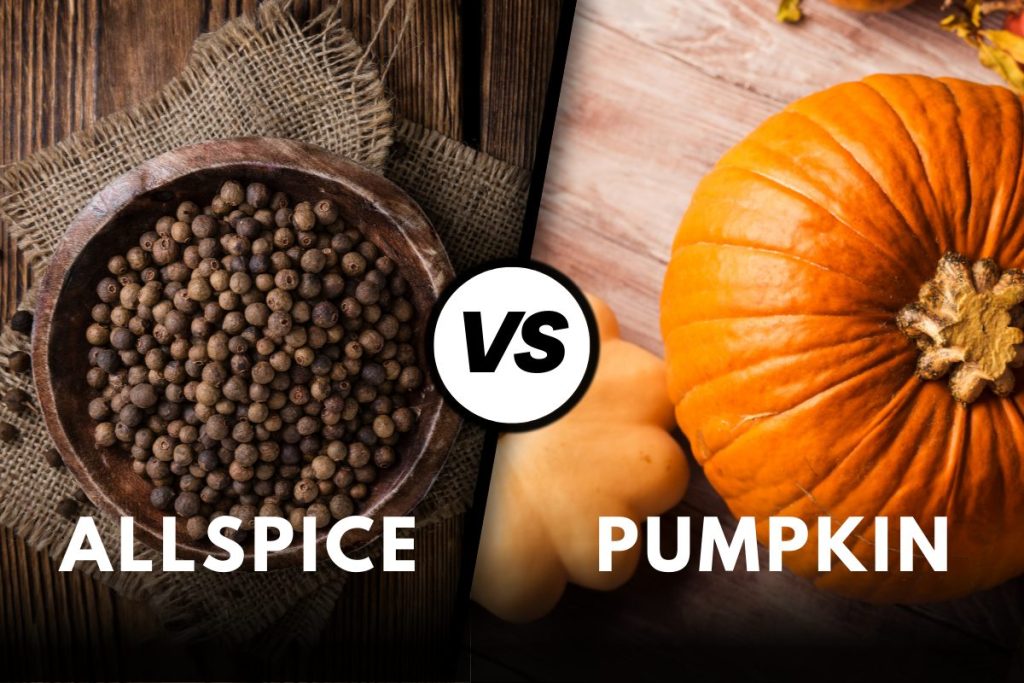 Allspice vs Pumpkin Pie Spice