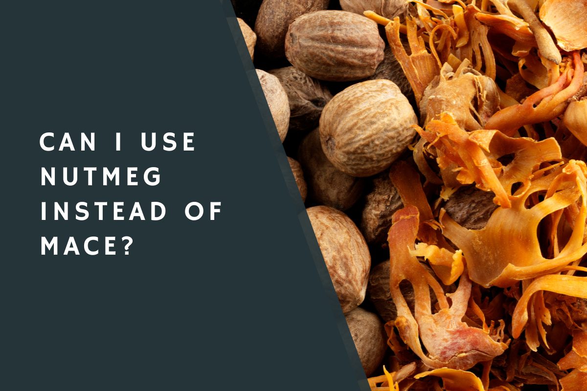 Can I Use Nutmeg Instead of Mace?