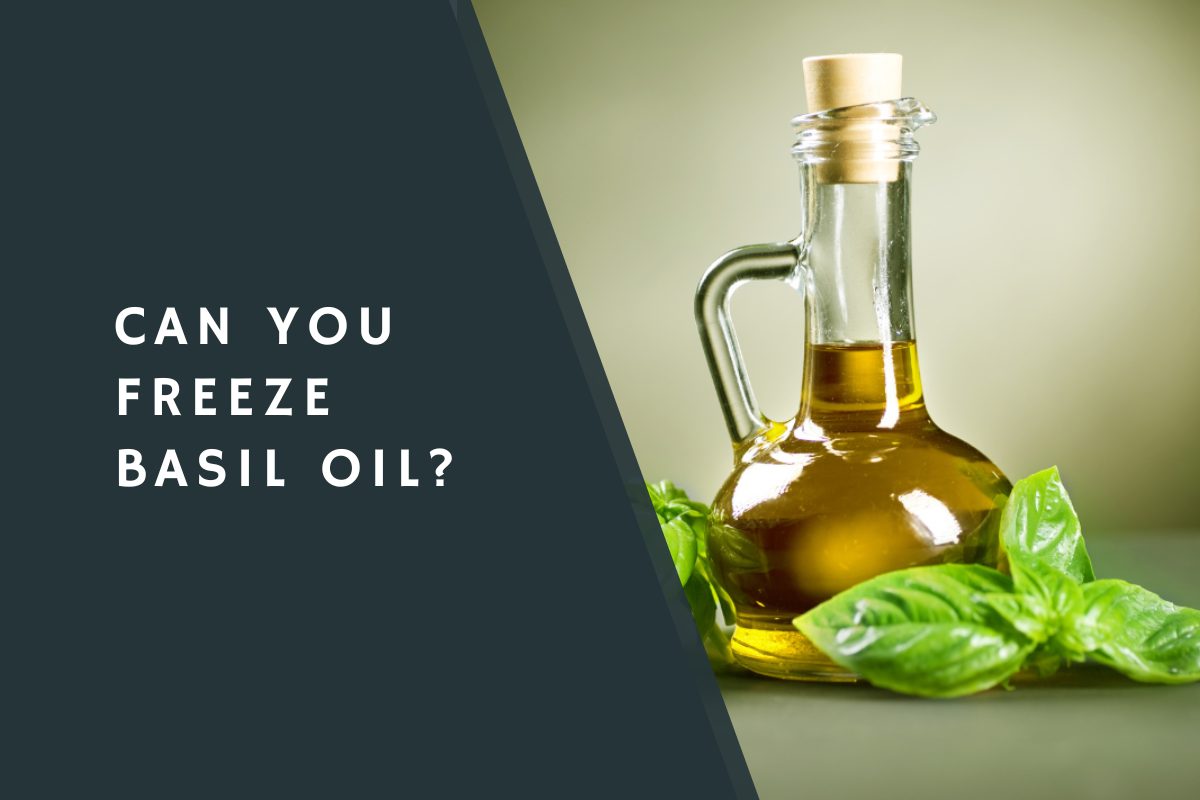 Can You Freeze Basil Oil?