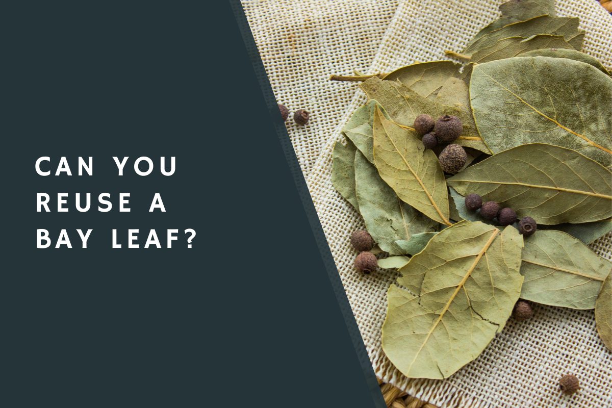 Can You Reuse A Bay Leaf?