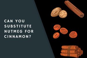 Can You Substitute Nutmeg for Cinnamon?