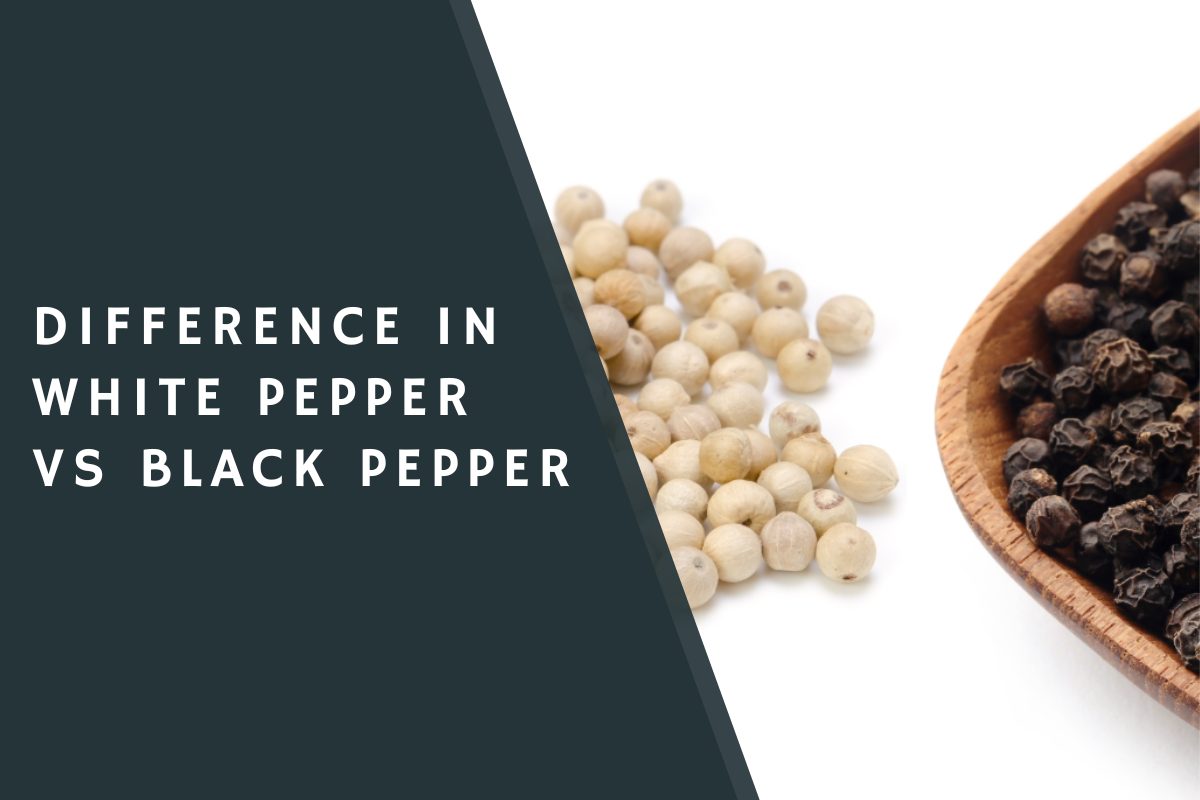 Difference in White Pepper Vs Black Pepper