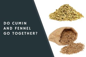 Do Cumin and Fennel Go Together?