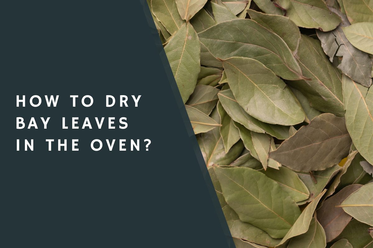 How to Dry Bay Leaves in the Oven?