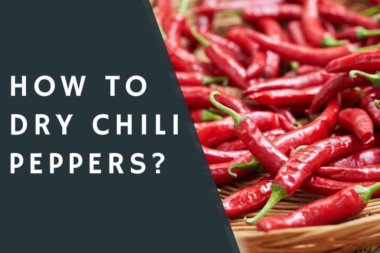 How To Dry Chili Peppers? - CondimentBucket