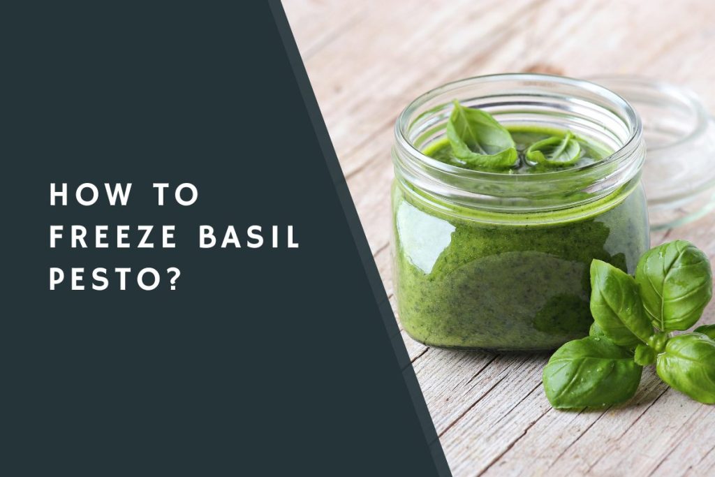 How to Freeze Basil Pesto?