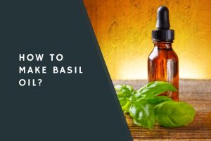 How to Make Basil Oil?