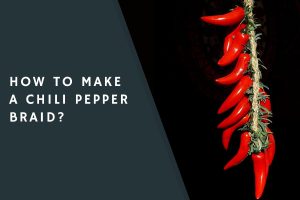 How to Make a Chili Pepper Braid?