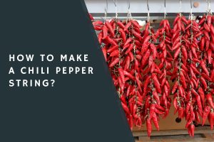 How to Make a Chili Pepper String?