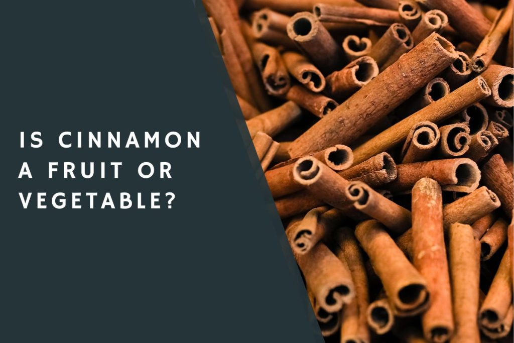 Is Cinnamon a Fruit or Vegetable?