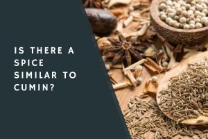 Is There a Spice Similar to Cumin?