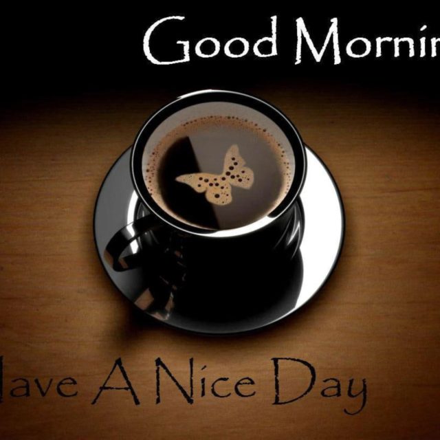 have a great day images