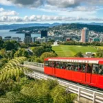 new-zealand-red-bus-transport