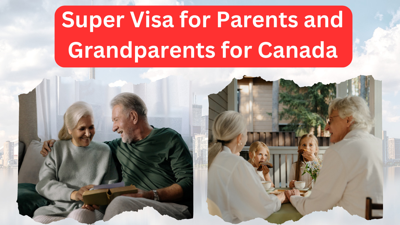 Canada Visa Applications And Exploring The Super Visa Option For ...