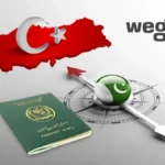 Comprehensive Guide to Turkey Visa Processes for Filipino and Pakistani Citizens