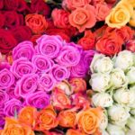 Amazing Things You Never Knew About Artificial Flowers in Bulk