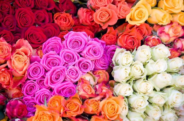 Amazing Things You Never Knew About Artificial Flowers in Bulk
