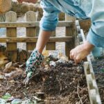 Important Tips For Purchasing The Best Gardening Equipment